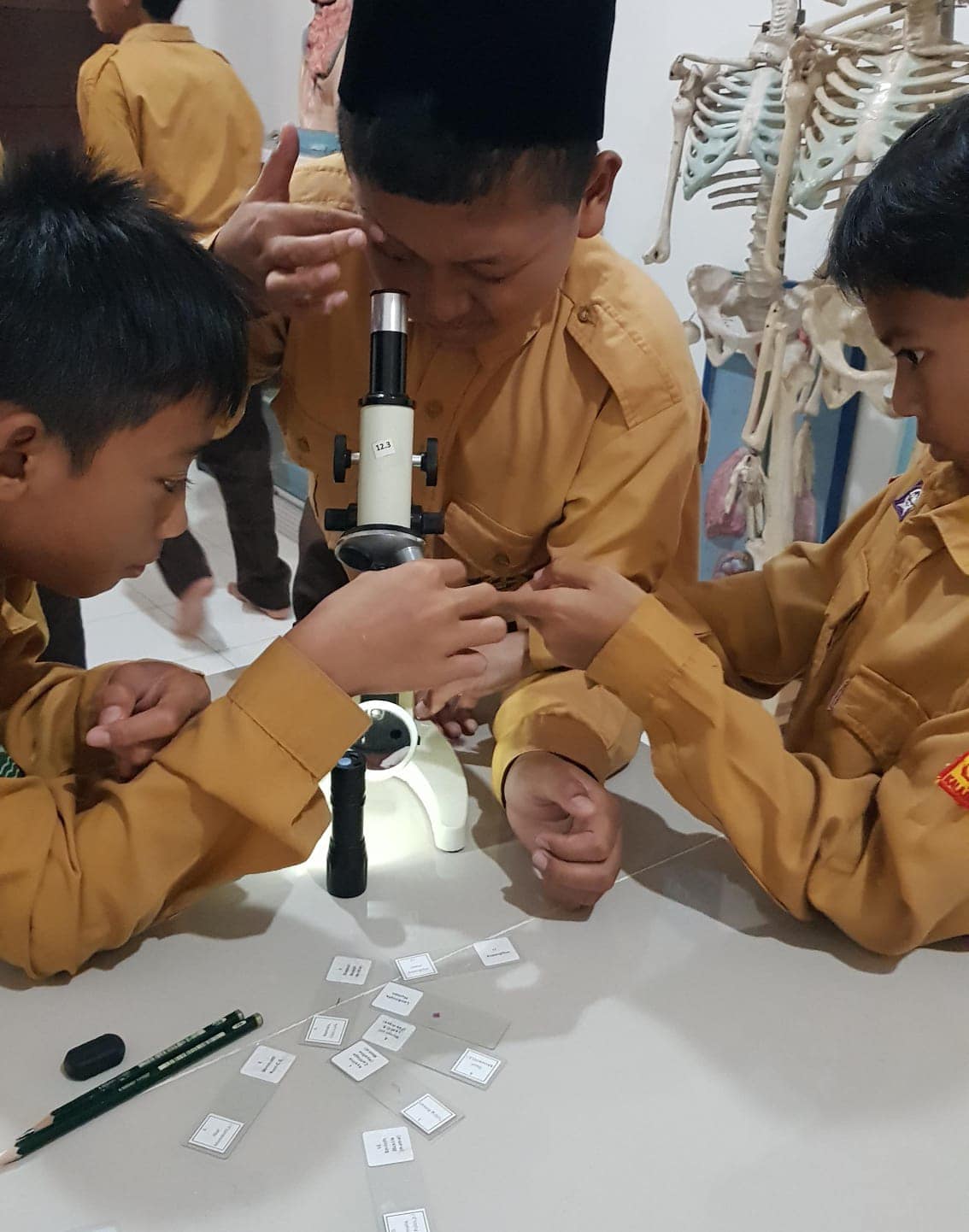 Eksperimen Cahaya dan Mikroskop: Sains Selalu Menyenangkan di Kelas 6 Al Kahfi